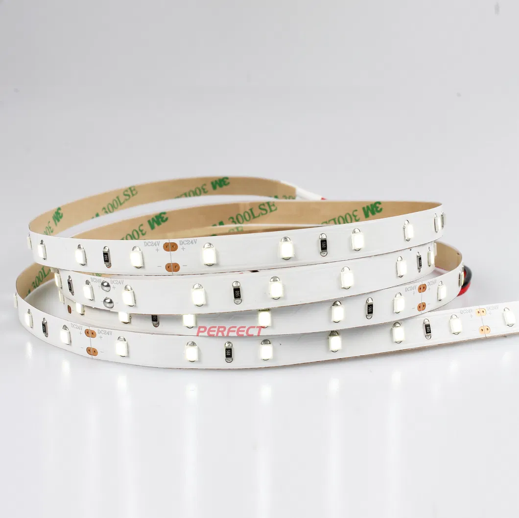 Cheap Wholesale IP65 Water Proof RGB LED Light Flexible Strip 2835 China Factory DC12V 24V LED Stripe