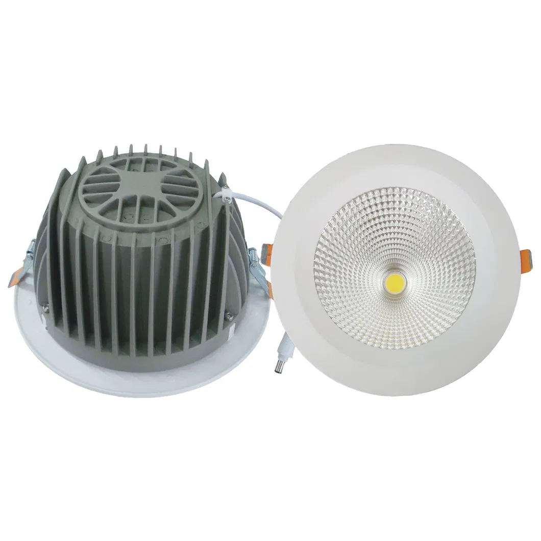Embedded 30W Shop Display Lighting Epistar COB LED Downlight