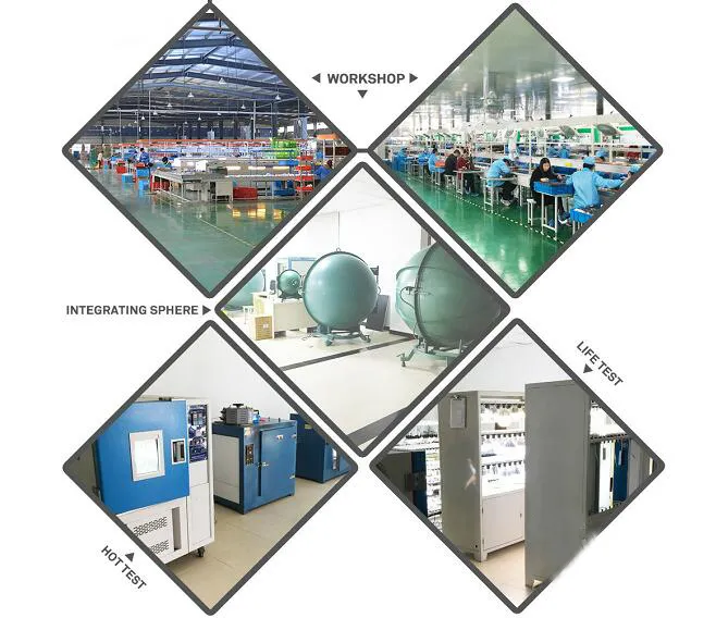 LED Bulb 9W E27 Screwbase 6500K Daylight Indoor Lighting with Ce RoHS EMC LVD