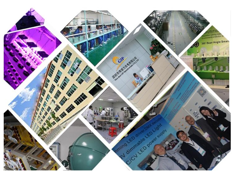 High Lumen 500W LED Grow Light for 2 Years Warranty