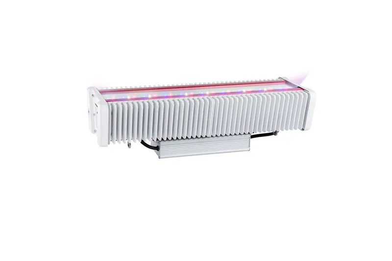 High Ppfd Vertical Farm Plant Lamp LED Grow Light 600W