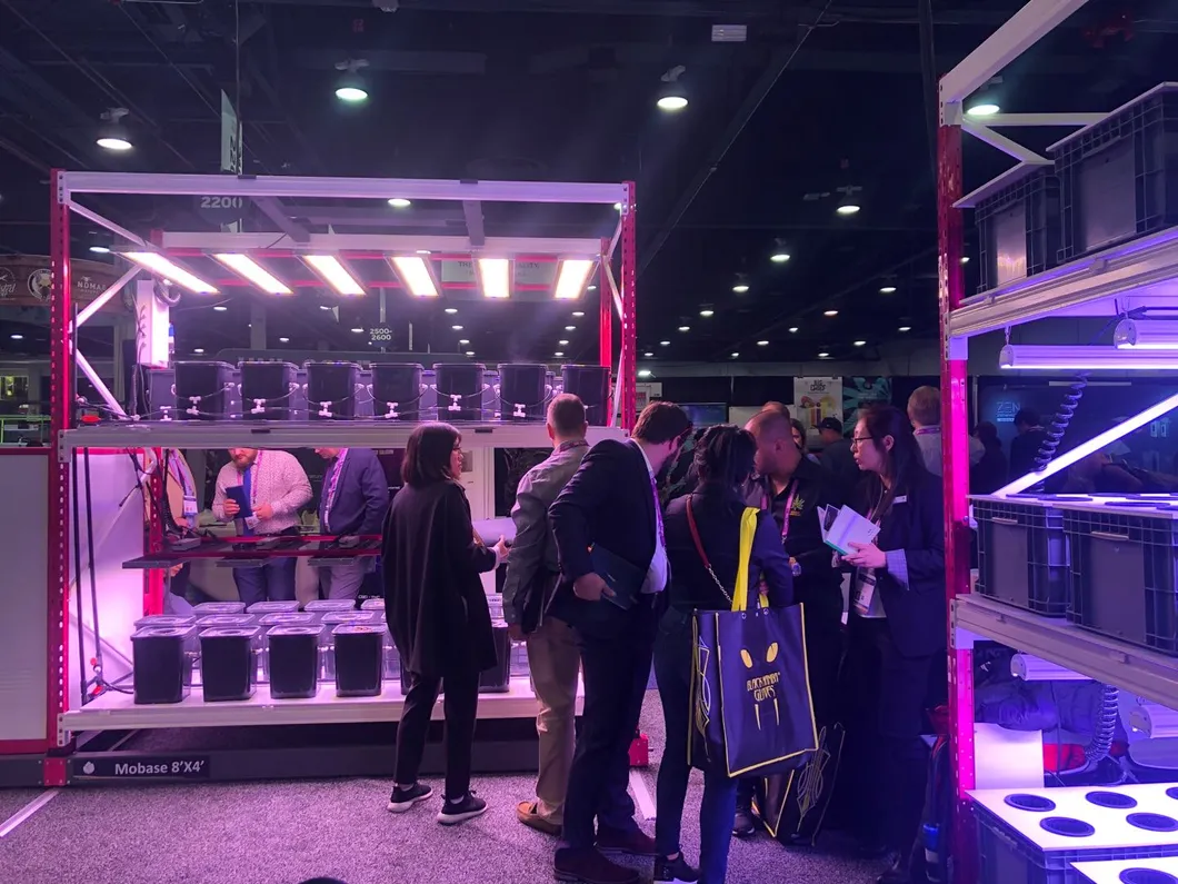 High Quality Commercial Greenhouse CE RoHS 300W LED Grow Light