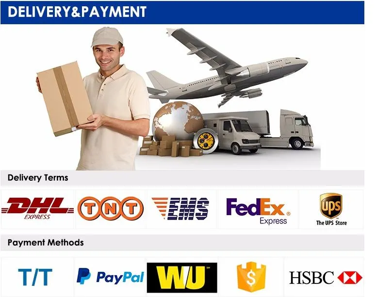 Hot Sale SMD5050 30LEDs Per Meter 12V LED Flexible Strip Light for Decoration Lighting