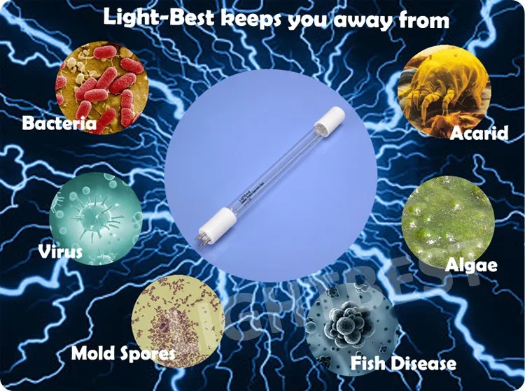 Lightbest Pls9w Germicidal Lamp Ozone UVC Light Bulb for Aquarium Water Sterilization