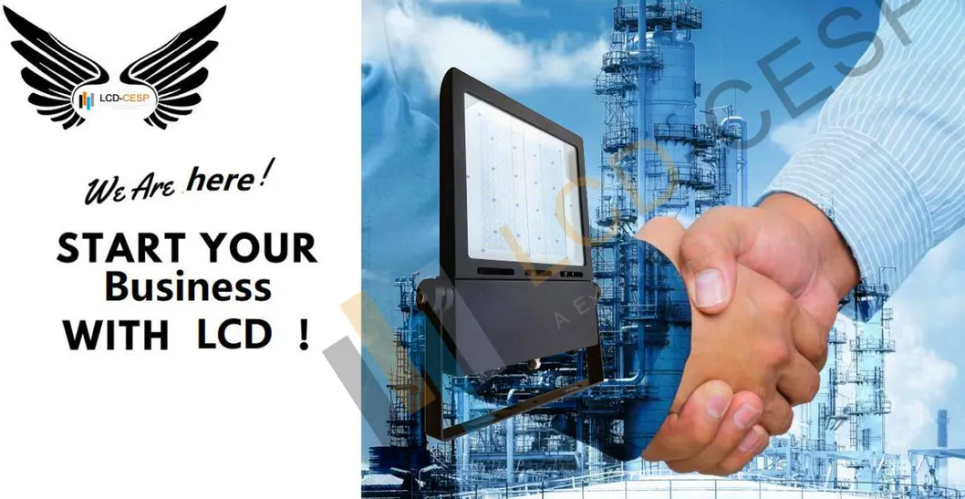 Manufacturing LED Outdoor Marine Flood Light IP66 Rescue LED Mobile Light 20V-24V 80W/100W/150W/200W for Working Floodlight with 5years Warranty LED Lamps