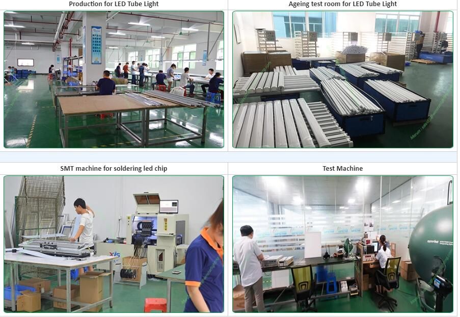 TUV Ce RoHS Cheap Price Reliable Quality AC85-265V Directly Input LED T8 Tube 100-180lm/W Powersaving